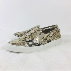 Steve Madden Safary Sneaker